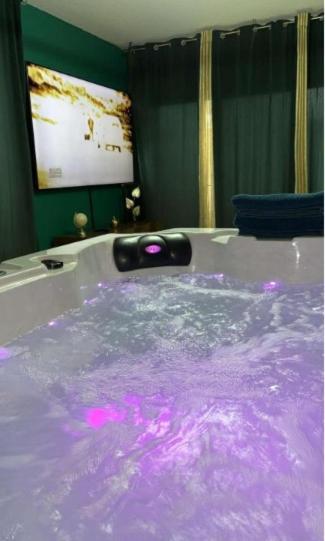 Apartment And Jacuzzi Toulouse