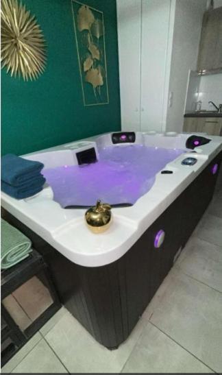 And Jacuzzi Apartment Toulouse